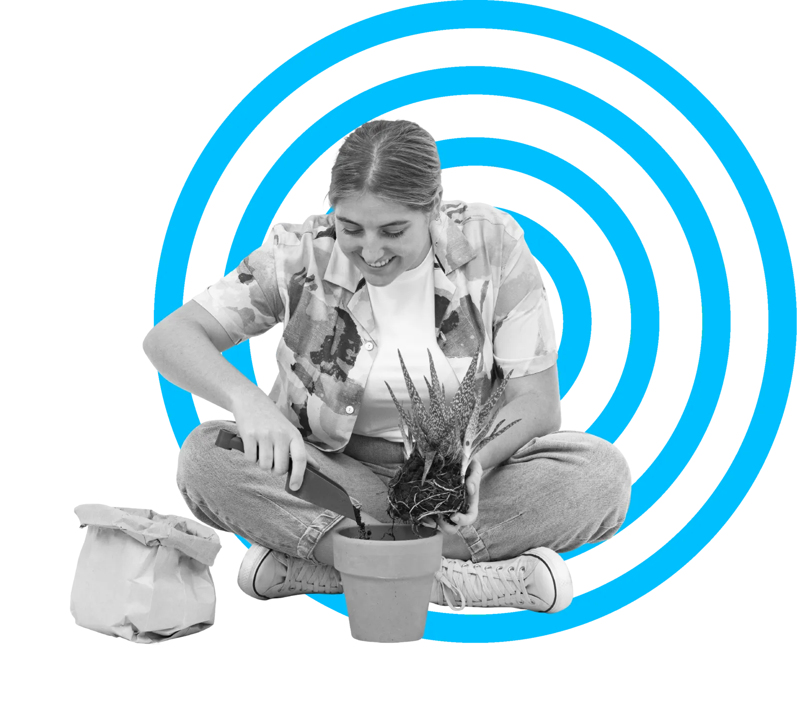 Person planting an aloe into a pot